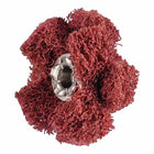 PFERD Étoile abrasive POLINOX D. 25 mm granulation 280 ( 4000841828 )