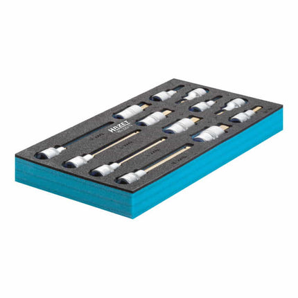 Modulo utensili HAZET 163-220/13 da 13 pezzi ( 4000871198 )