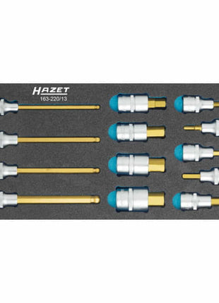 HAZET Module à outils 163-220/13 13 pièces ( 4000871198 )