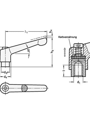 GANTER Palanca de sujeción ajustable GN 300 d1 M 12 mm (4601000488)