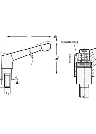 GANTER Verstellbarer Klemmhebel GN 300 d1 M 10 mm ( 4601000578 )