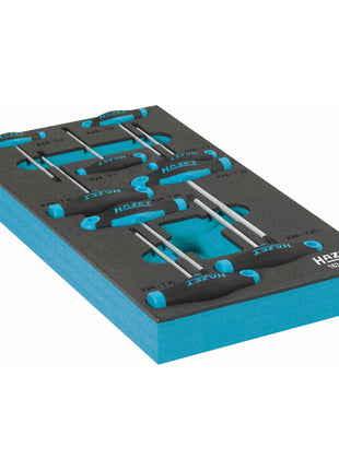 HAZET Module à outils 163-182/9 9 pièces ( 8000465896 )
