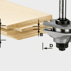 Festool HW S8 D46 x D12-FD cortador de resorte de perfil (490643) para OF 900, OF 1000, OF 1010, OF 1010 R, OF 1400, OF 2000, OF 2200