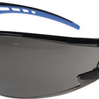 Gafas de seguridad PROFIT Falcon 2 EN 166 (4000370324)