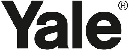 Polipasto de palanca YALE capacidad de carga para teléfono móvil 250 kg altura de elevación 6 m (9000360053)