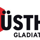 Ciseaux de travail/coupe de Wüsthof ( 4000817809 ) Longueur totale 250 mm pour droitiers