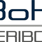 Veribor suction lifter ( 4000817356 ) Load capacity 60 kg Head Ø 120 mm