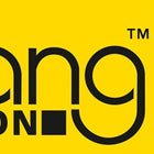 Pompa per fusti a leva Reilang ( 4000356452 ) PP/PE 16 l/min