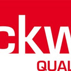 Lockweiler basket ( 9000448311 ) L800xW535xH300mm