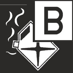 Gloria carbon dioxide fire extinguisher ( 9173482095 ) 5 kg with wall bracket