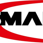 Ansmann Akkuzelle ( 4000876125 ) 1,5 V 2300 mAh