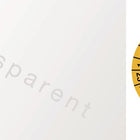 Adhesivo de inspección plurianual ( 9000477099 ) Lámina W25xL60 mm