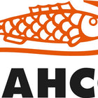 Piła do metalu Bahco 208 ( 4000814055 ) długość całkowita 330 mm długość ostrza 250 mm