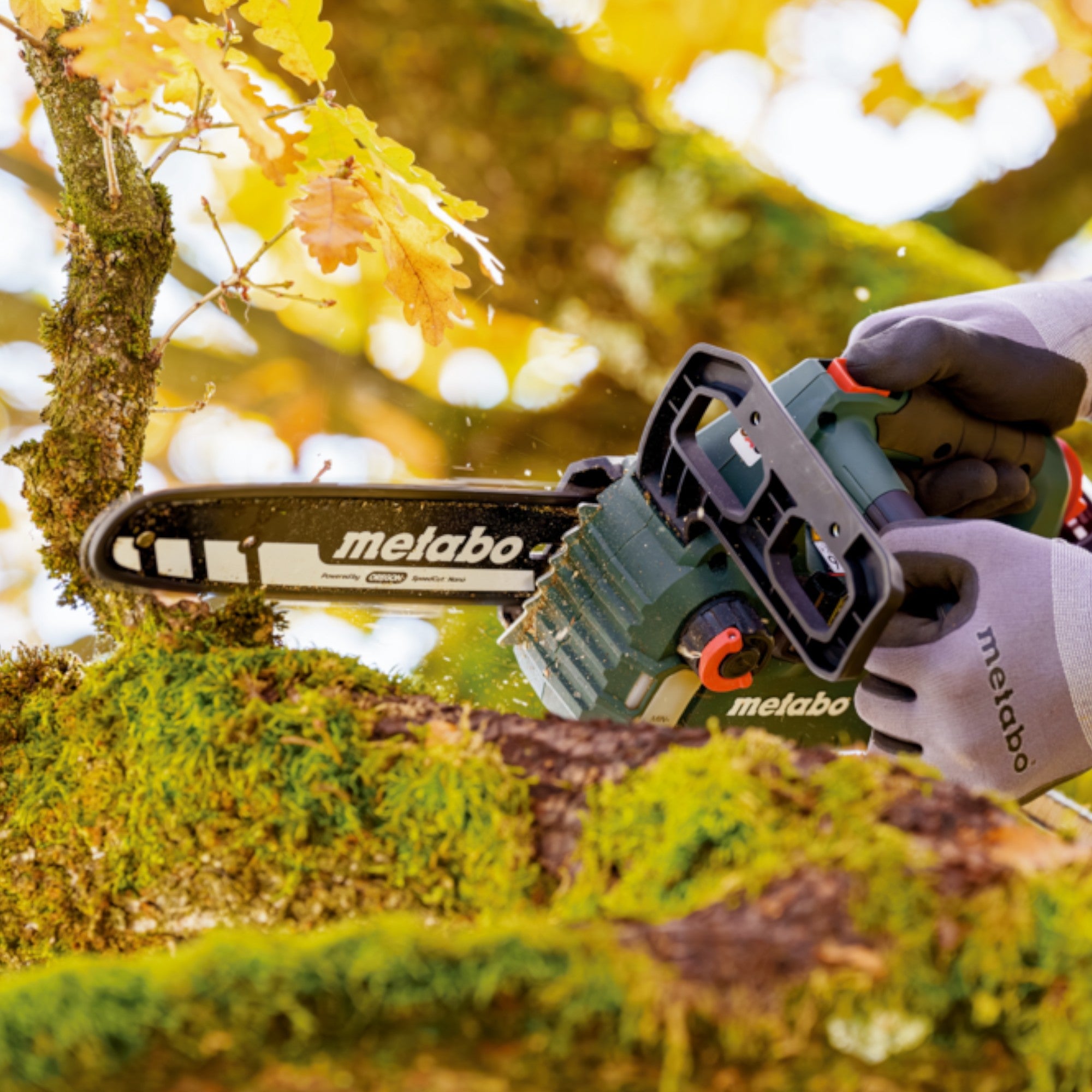 Metabo MS 18 LTX BL 25 Akku Kettensaege 18 V 25 cm Brushless 1x Akku 4 0 Ah ohne Ladegeraet 4 - toolbrothers