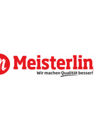 Meisterling Ruban adhésif universel 60mmx40m (006300000030)