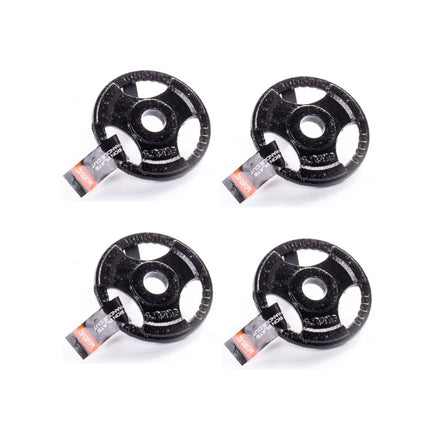 Juego de barras de mancuernas 2 piezas 35 cm 2,5 kg + 6 discos de pesas de hierro fundido 1,25 kg