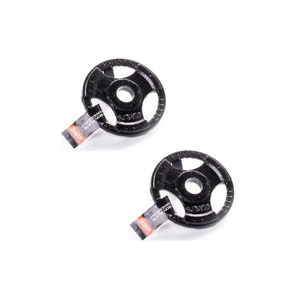 Juego de barras de mancuernas 2 piezas 35 cm 2,5 kg + 6 discos de pesas de hierro fundido 1,25 kg