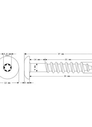 Tornillos para fachada Meisterling 5,5x35 mm 100 piezas (010030000161) 12 mm cabeza plana azul genciana con rosca parcial Torx Acero inoxidable V4A