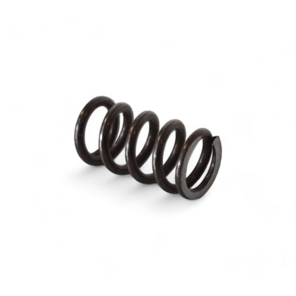 Muelle Festool AGC 18 -pieza de recambio ( 10202107 )