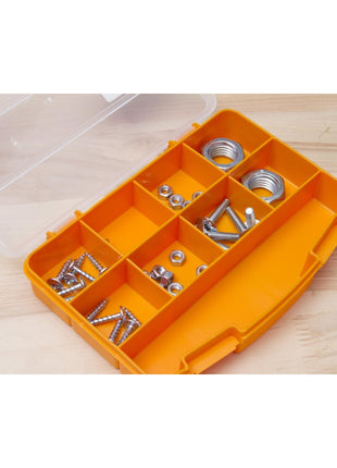 FORTE Tools Box ORG-10 Organisateur de rangement pour petites pièces ( 000051144705 ) 251 x 200 x 44 mm avec 10 compartiments pour clous vis chevilles outils à main