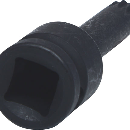 KS TOOLS 1/2' Bit con adaptador de impacto XZN, pavonado, l =75mm, M12 ( 911.0951 )