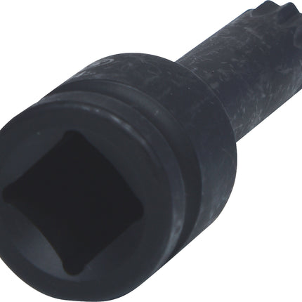 KS TOOLS 1/2" Kraft-Bit-Stecknuss Vielzahn, lang, M14 ( 911.0952 ) - Toolbrothers