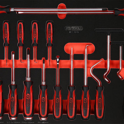 KS TOOLS Juego de destornilladores y ganchos en inserto de gomaespuma, 19 pzs ( 811.1019 )