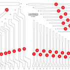 KS TOOLS Inserto de gomaespuma vacío para 811.0038 ( 811.0038-97 )