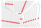 KS TOOLS Inserto de espuma vacío para 811.2041 (811.2041-97)