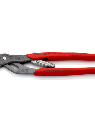 KNIPEX Wasserpumpenzange SmartGrip® Länge 250 mm Spannweite 10-36 mm ( 4000810699 )