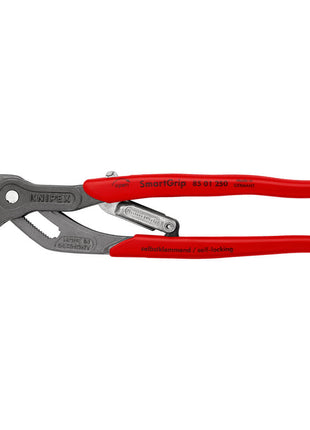 KNIPEX Alicates para bombas de agua SmartGrip® longitud 250 mm luz 10-36 mm (4000810699)