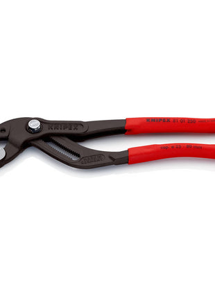 KNIPEX Alicates para sifón/conectores Longitud 250 mm Envergadura 25 - 80 mm (4000795325)