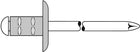 GESIPA Rivet aveugle PolyGrip(R) tige de rivet d x l 4,8 x 17 mm K16 ( 4000813764 )