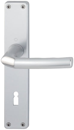 HOPPE set di piastre lunghe Birmingham 1117/202SP Alluminio F1 ( 3000252985 )