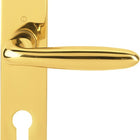 HOPPE set di piastre lunghe Verona M151/302 ottone F71 ( 3000252652 )