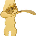 HOPPE set di rosette lunghe Weimar M112SLN/2007 ottone F71 ( 3000253090 )