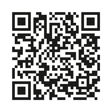 DOLEZYCH Cinghia di ancoraggio DIN EN 12195-2 Lunghezza 8 m Larghezza 50 mm ( 4000365050 )