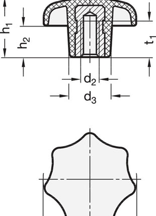 GANTER Poignée en étoile DIN 6336 avec douille filetée ( 4601000858 )