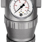 Filtro regolatore RIEGLER filettatura standard mm 15,39 ( 4588880461 )