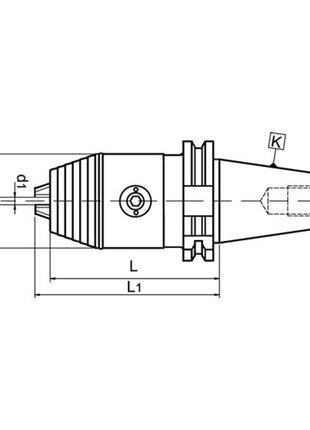 WTE Mandrin de perceuse à serrage rapide NC DIN 69871A D. de serrage 0,5-13 mm ( 4000832376 )