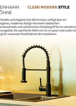 Rosenhahn & Söhne Sylt 200 Küchenarmatur mit Brause- 360° drehbarer Wasserhahn Küche - Armatur Küche [schwarz] - 2-fach verstellbare Spültischarmatur - Brause & Strahl - Anschlussschläuche - Toolbrothers